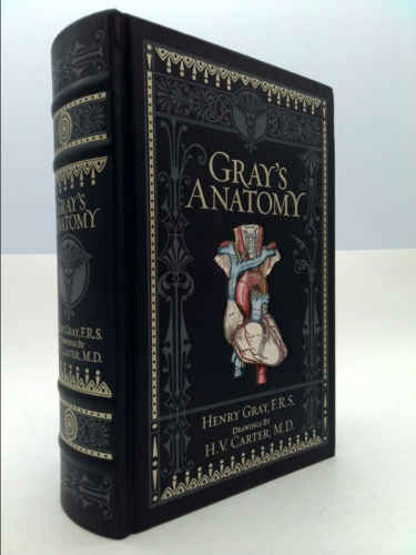 Actual Product Display Primary Cover