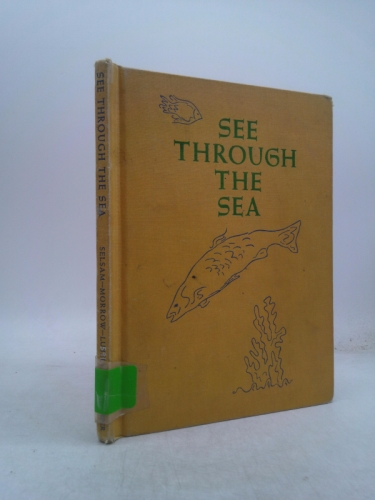 see through the sea