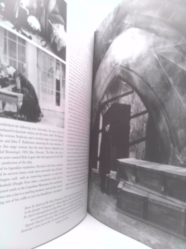 Actual Product Display 4