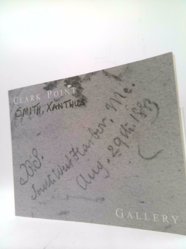 Xanthus Smith at Mount Desert Island, Maine