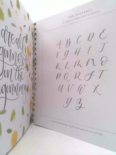 Actual Product Display 3