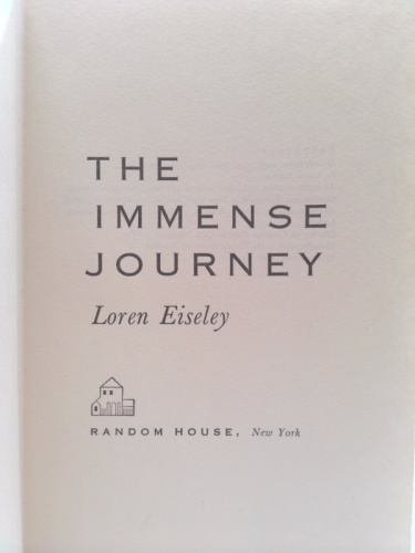 Actual Product Display 2