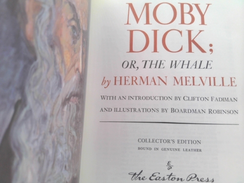 Actual Product Display 2