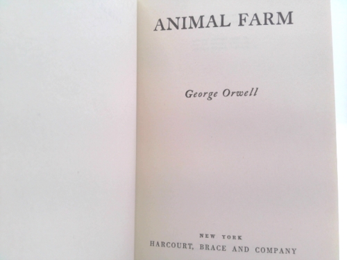 Actual Product Display 2