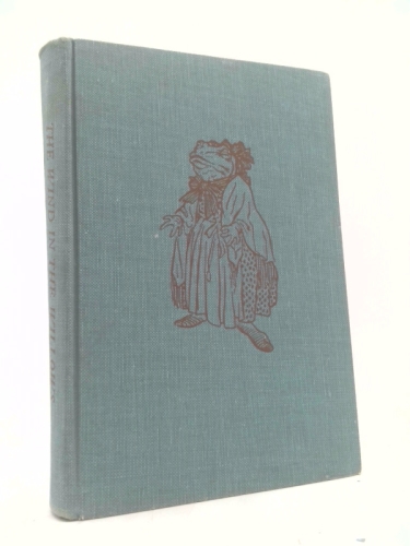 Actual Product Display Primary Cover
