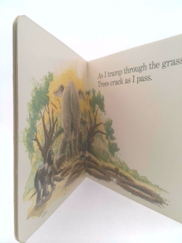 Actual Product Display 4