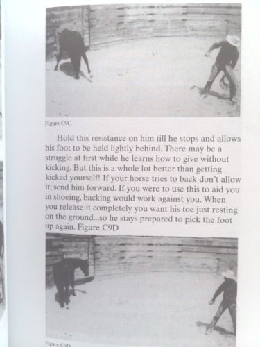 Actual Product Display 5