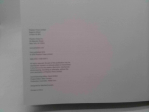 Actual Product Display 3
