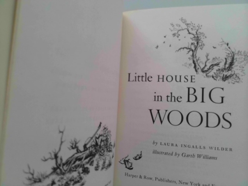 Actual Product Display 2