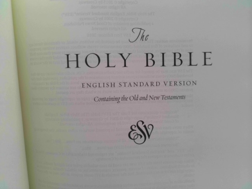 Actual Product Display 2