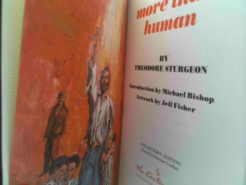 Actual Product Display 2