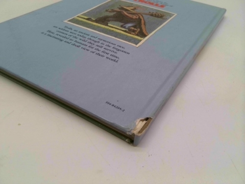 Actual Product Display 4