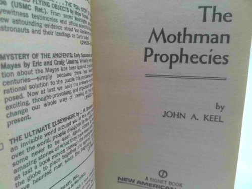 Actual Product Display 2