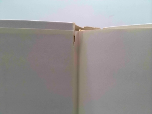 Actual Product Display 4