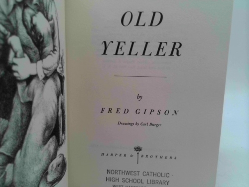 Actual Product Display 2