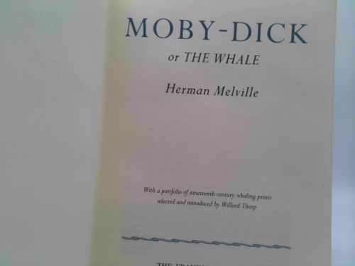 Actual Product Display 2