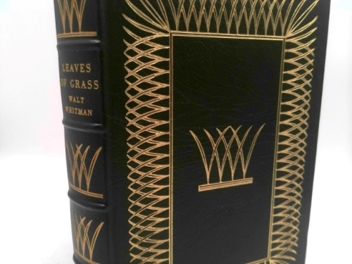 Actual Product Display Primary Cover