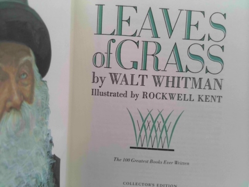 Actual Product Display 2