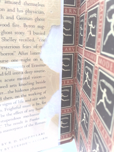 Actual Product Display 4