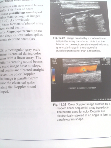 Actual Product Display 4