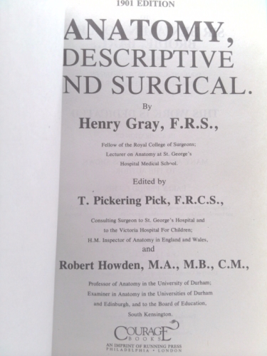 Actual Product Display 2