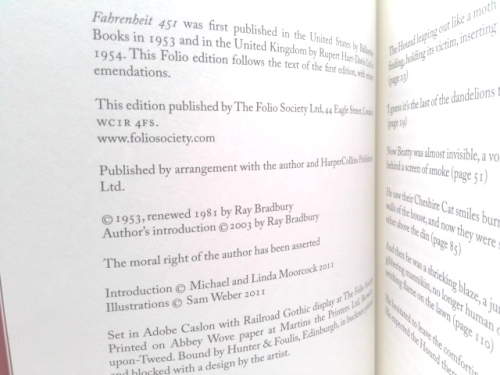 Actual Product Display 3