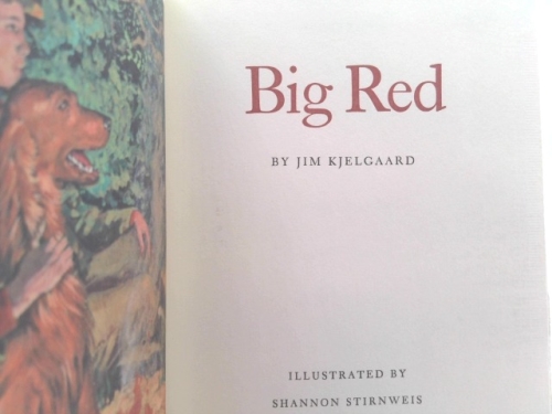 Actual Product Display 2