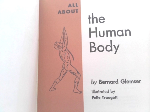 Actual Product Display 2