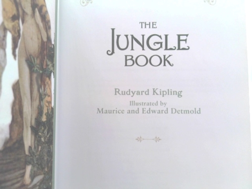 Actual Product Display 2