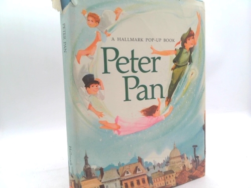 Actual Product Display Primary Cover