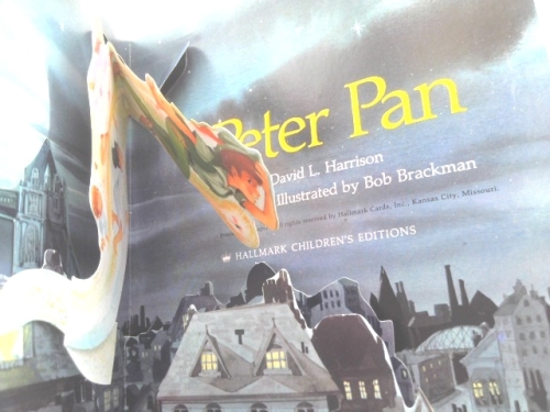 Actual Product Display 2