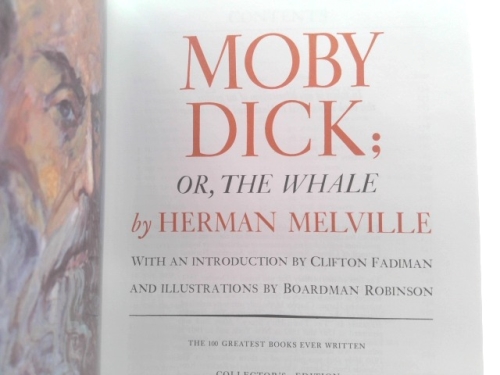 Actual Product Display 2