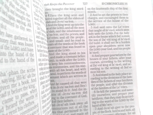 Actual Product Display 3