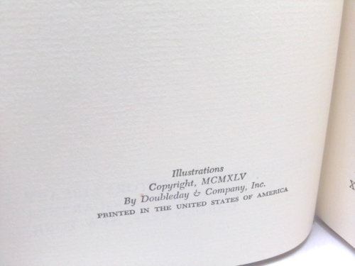 Actual Product Display 3