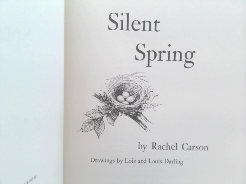 Actual Product Display 2