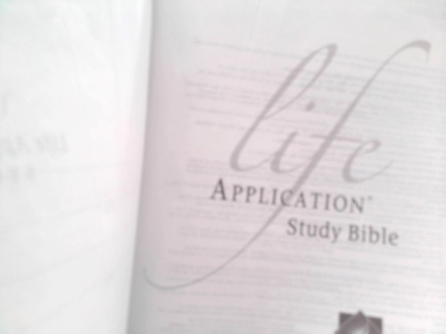 Actual Product Display 2