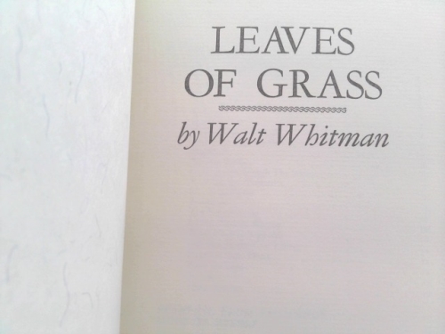 Actual Product Display 2