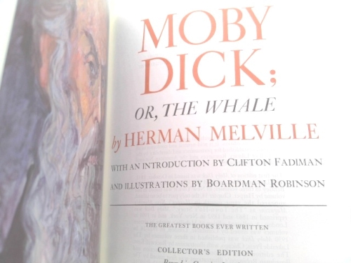 Actual Product Display 2