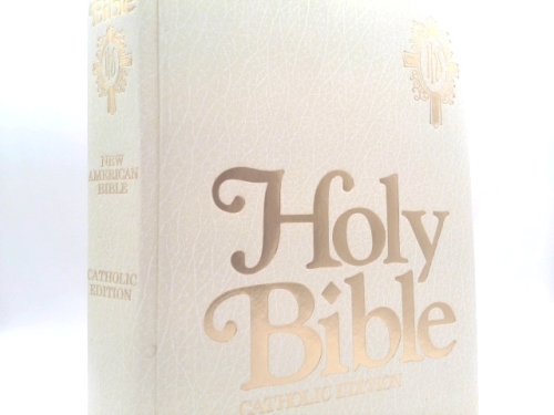 Catholic Family Bible-NABRE