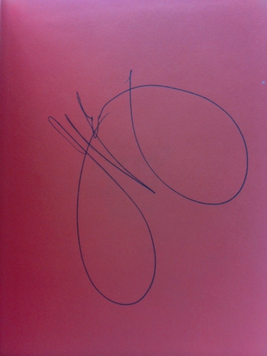 Actual Product Display 2