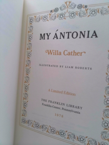 Actual Product Display 2