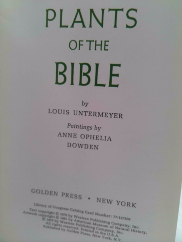 Actual Product Display 2