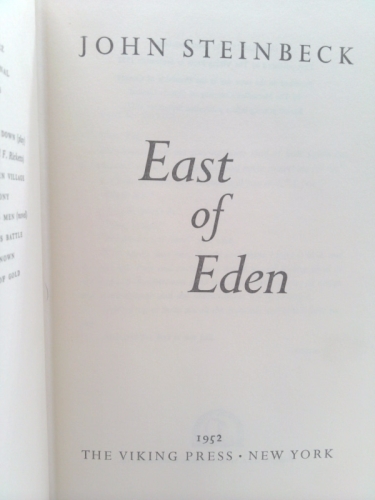 Actual Product Display 2