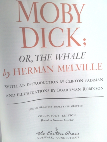 Actual Product Display 2