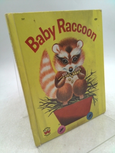 Baby Raccoon