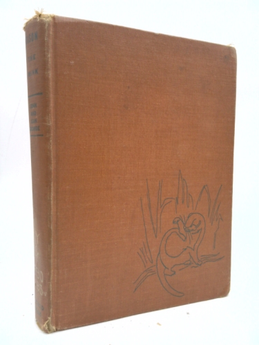 Vision the Mink - American Woodland Tales