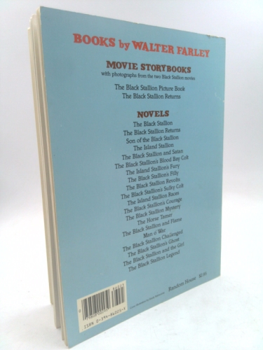 Actual Product Display 4