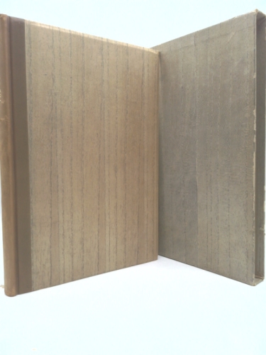 The White Robe: A Saint's Summary