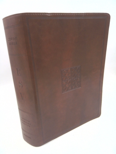 Actual Product Display Primary Cover