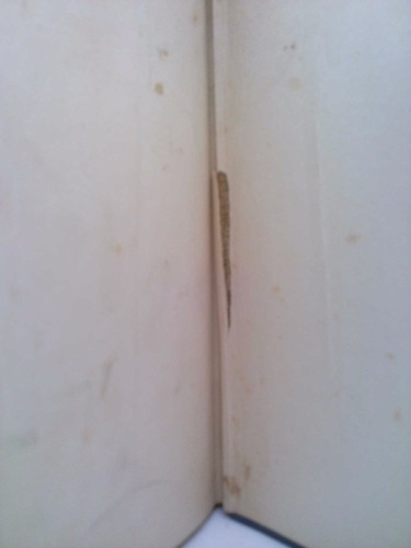 Actual Product Display 4